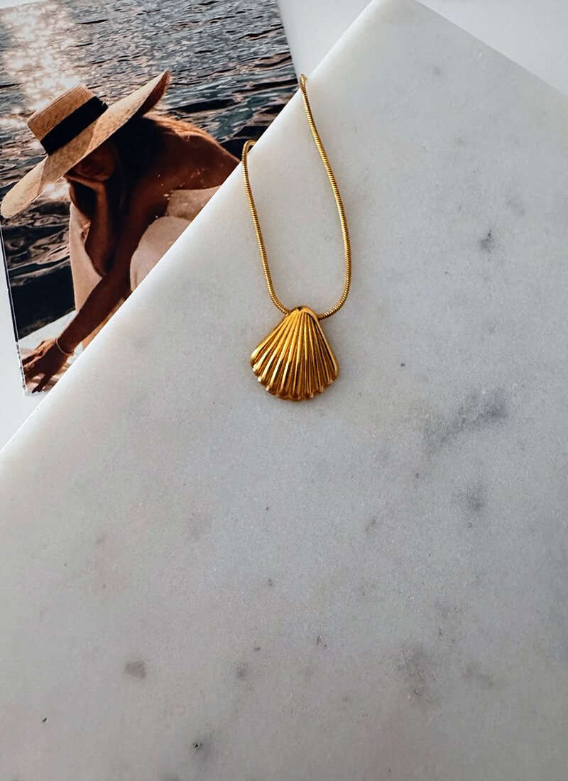 SMALL SHELL